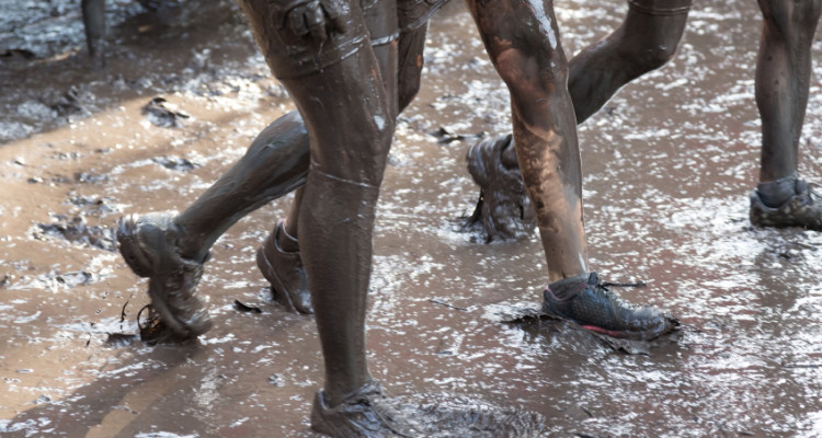 mud runners