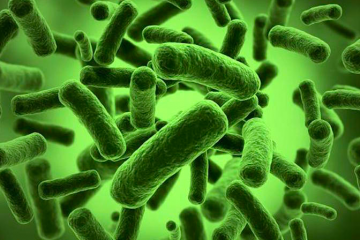 Gut Bacteria Fit Nation